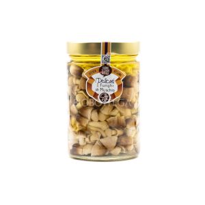 Funghi di Muschio Piemont Fungo 540G