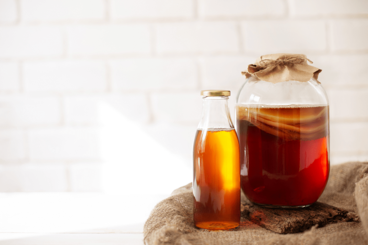 Il Kombucha, elisir di lunga vita